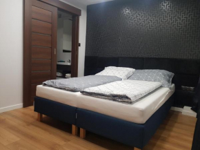 Apartamenty Centrum Deluxe Kielce